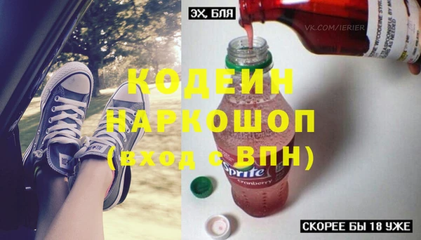 дмт Инта